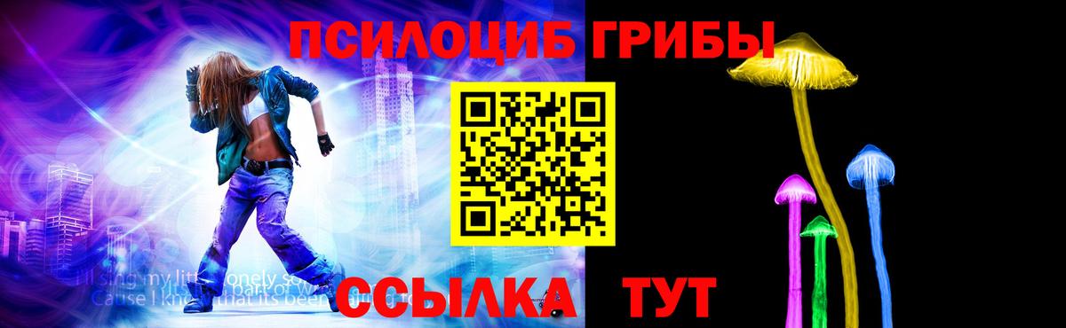 Псилоцибиновые грибы GOLDEN TEACHER Луховицы
